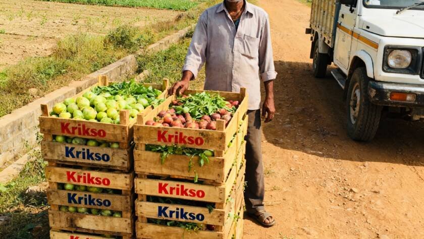 Farmer delivering contract farming produce to Krikso India collection center