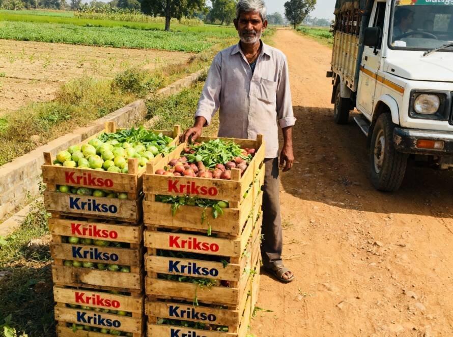 Farmer delivering contract farming produce to Krikso India collection center